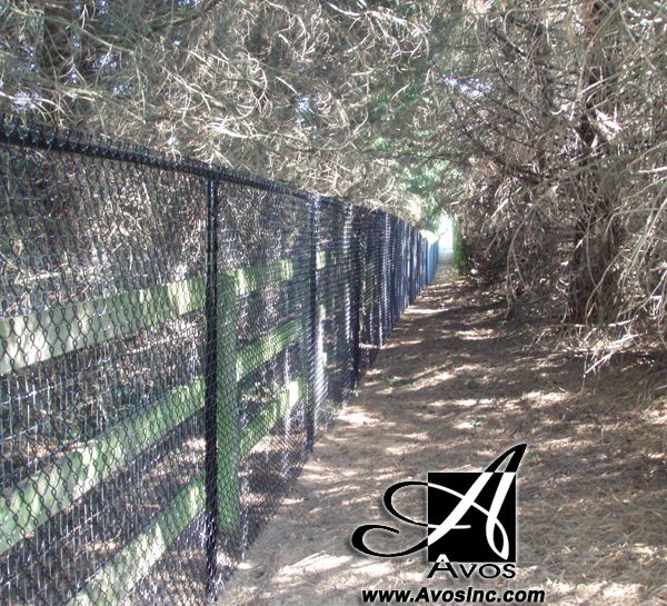 Brandon Roy Chain Link Fence