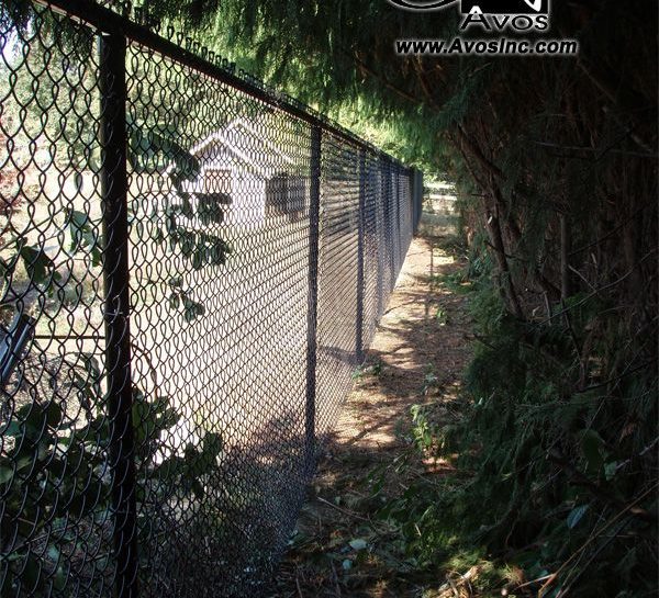 IMG-20250917-WA0081